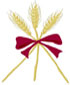 Stewardship Committee